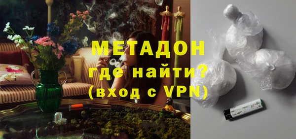 прущие грибы Арсеньев