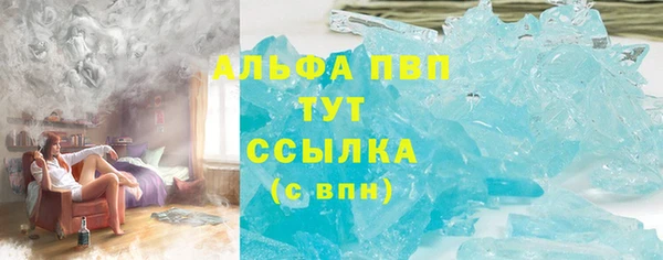 прущие грибы Арсеньев