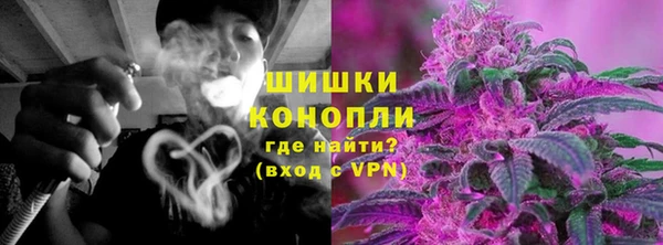прущие грибы Арсеньев