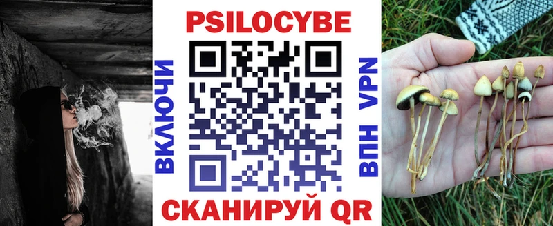 Галлюциногенные грибы Cubensis Бородино
